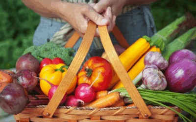 Bradach Elementary Secures Sprouts Grant to Grow Student Garden