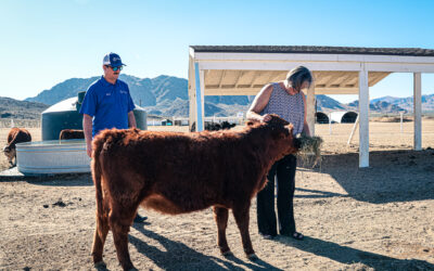 Finding Hope at The River’s Edge: A Lucerne Valley Ranch Restoring Lives