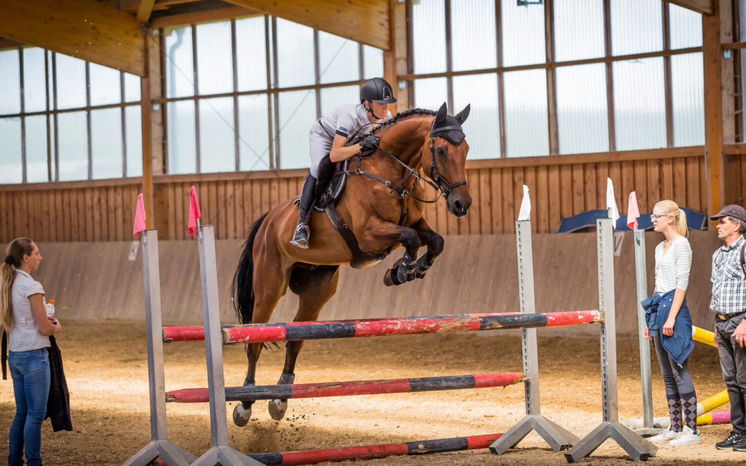 Mojave Narrows Regional Park Unveils New Equestrian Facilities
