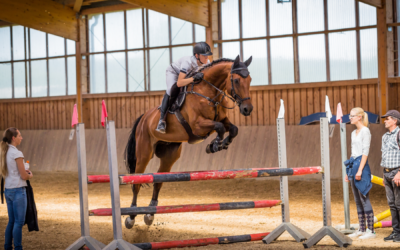 Mojave Narrows Regional Park Unveils New Equestrian Facilities